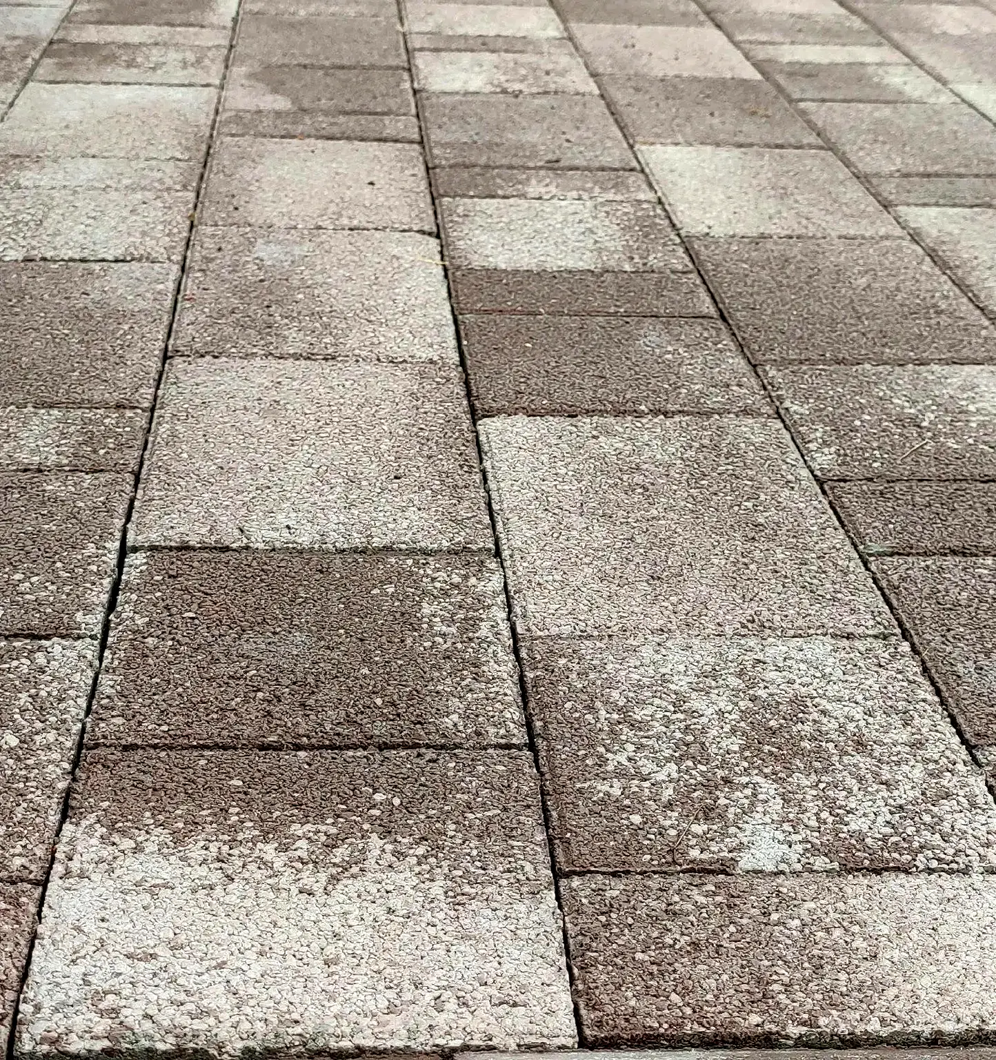 Фактура тротуарной плитки крупным планом